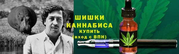 молекула духа Аркадак