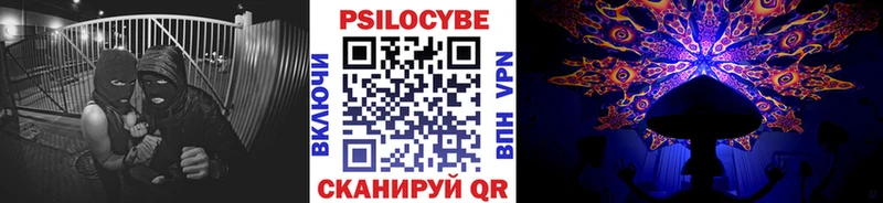 как найти наркотики  Магадан  Галлюциногенные грибы Magic Shrooms 